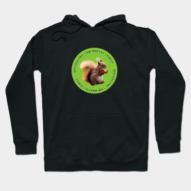 spinning like a squirrel in wheel Hoodie by creative.pro100